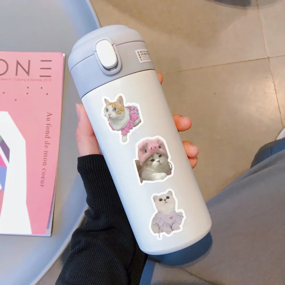 10/500/1000pcs Funny Cute Cat MEME Animals Stickers Kawaii Decals Scrapbooking Notebook Luggage Laptop Skateboard Sticker Toy