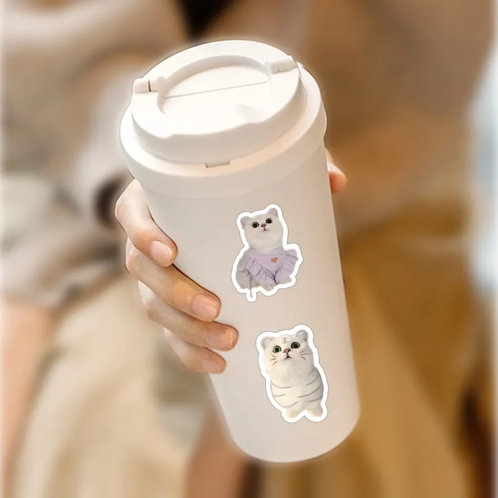 10/500/1000pcs Funny Cute Cat MEME Animals Stickers Kawaii Decals Scrapbooking Notebook Luggage Laptop Skateboard Sticker Toy