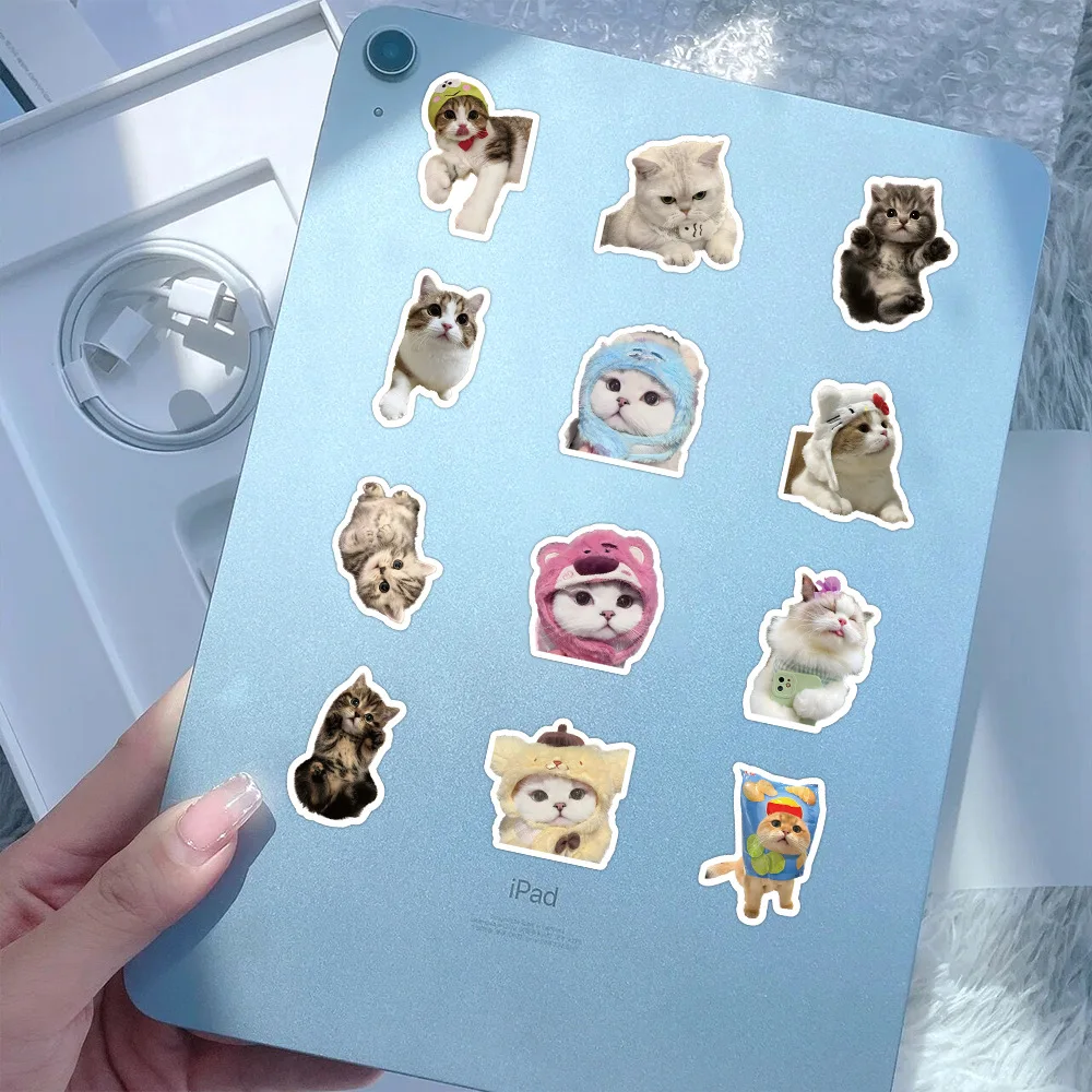 10/500/1000pcs Funny Cute Cat MEME Animals Stickers Kawaii Decals Scrapbooking Notebook Luggage Laptop Skateboard Sticker Toy