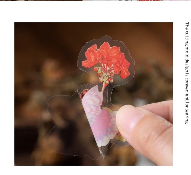 50pcs Fairy Tale Forest Series Retro Fairy Tale Handbook Decorative PET Stickers DIY Diary Scrapbook Aesthetic Stickers