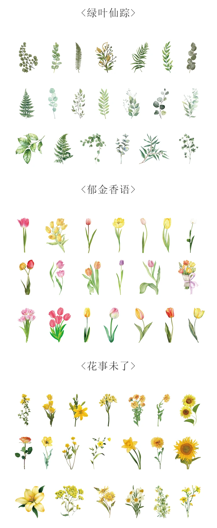 Natural plant collection Green Leaf Decorative PET Stickers Scrapbooking Label Diary Stationery Album Phone Cup Journal Planner