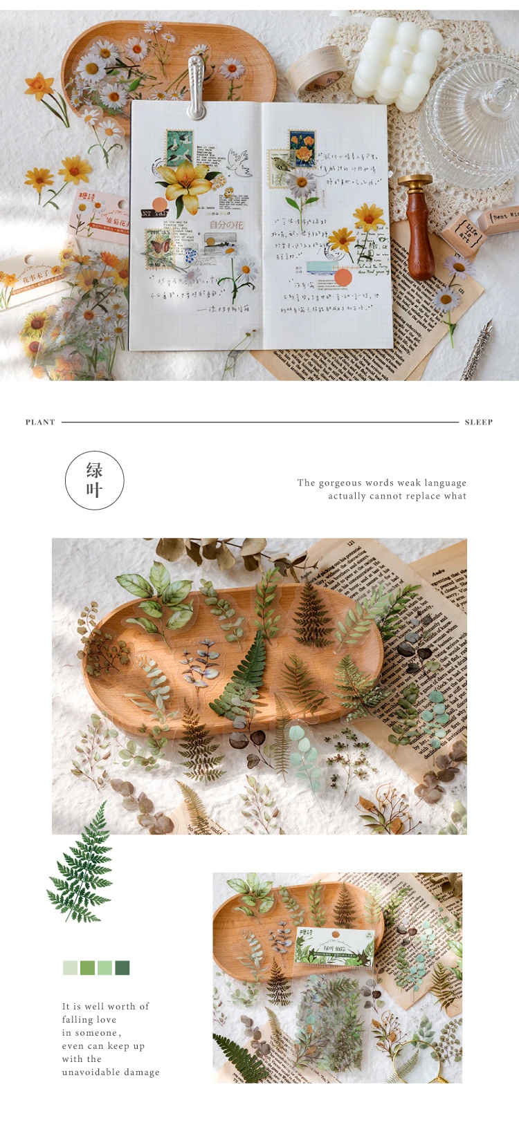 Natural plant collection Green Leaf Decorative PET Stickers Scrapbooking Label Diary Stationery Album Phone Cup Journal Planner