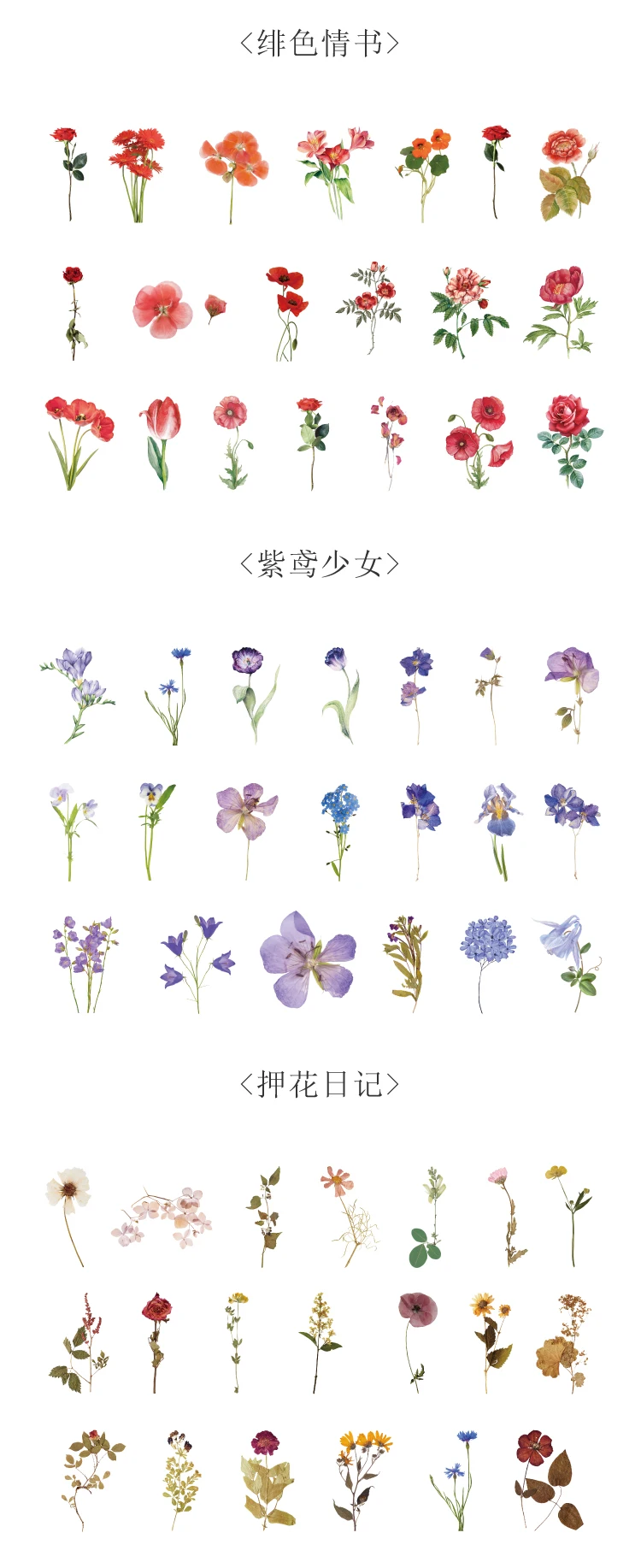Natural plant collection Green Leaf Decorative PET Stickers Scrapbooking Label Diary Stationery Album Phone Cup Journal Planner