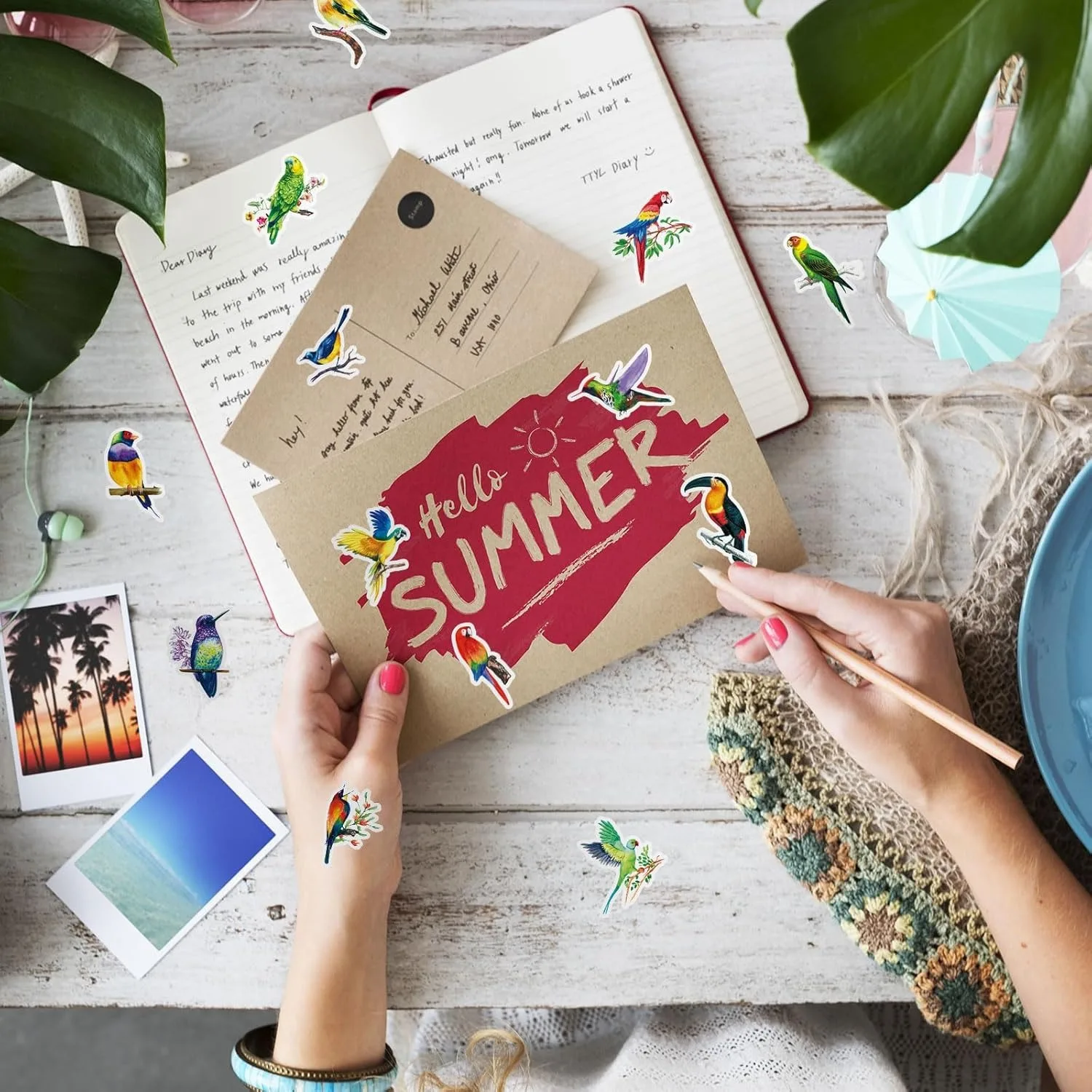 500Pcs /1 Rolls 2.5cm/1inch Colorful Bird Shaped Sticker Decoration Gift Box Sticker Label Stationery Sticker
