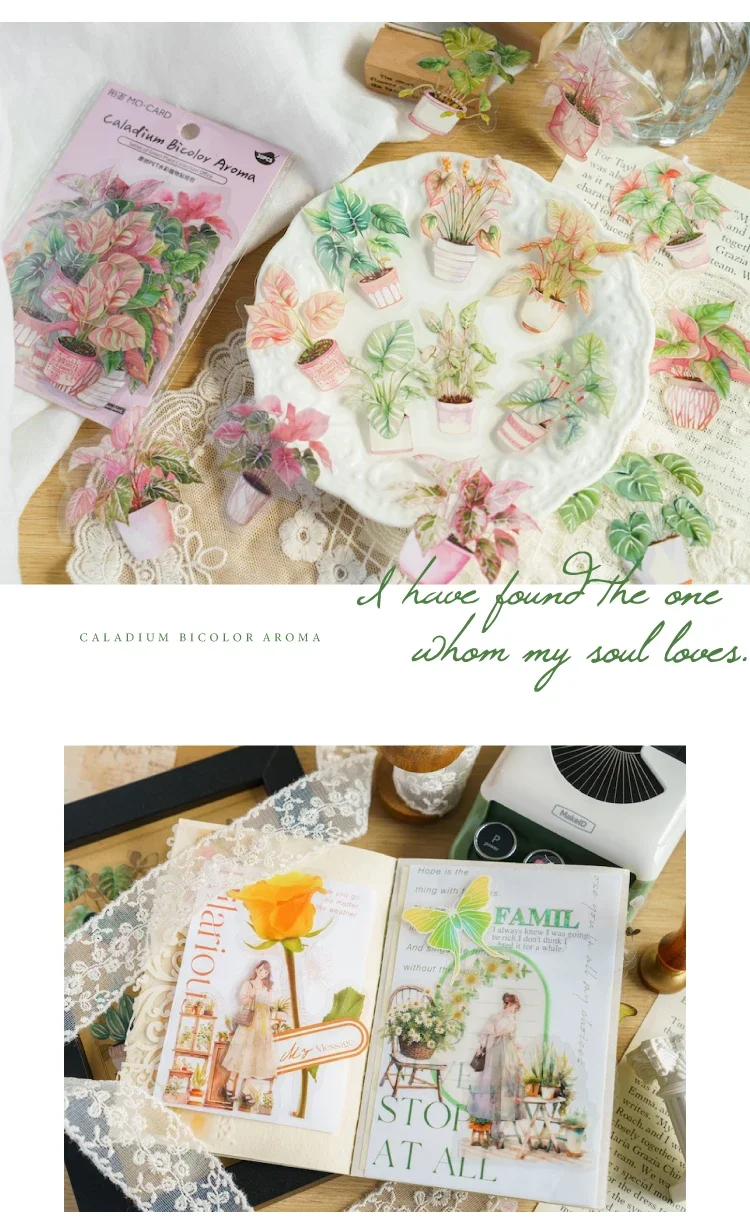 JIANWU 30Sheets Plant Collection Office Series Vintage Flower Material Decor PET Sticker Creative DIY Journal Collage Stationery
