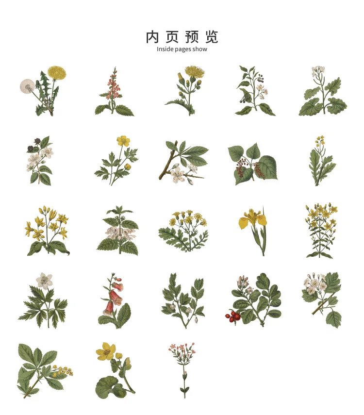 46 Pcs/Box Green Plant & Flower Decorative Stationery Stickers for Scrapbooking DIY Diary Album Stick Labels