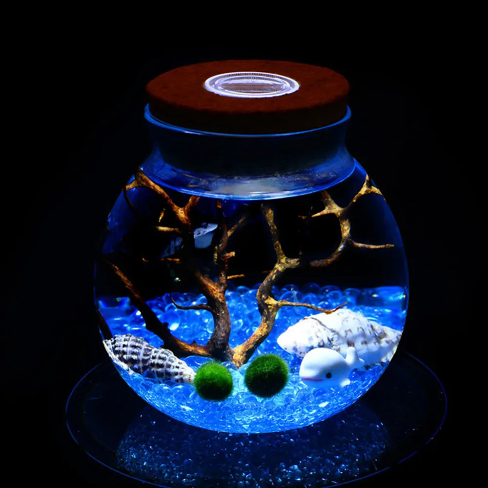 11/12cm Round Glass Jar Globe Terrarium Glass Jar with Colorful LED Light Cork Micro Landscape Ecological Bottle Night Lights