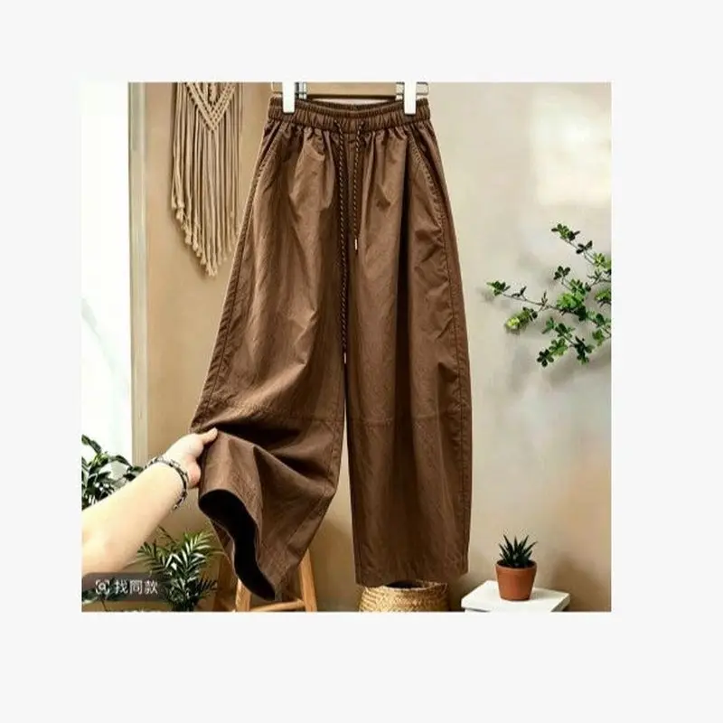 Korean Style High Waist Wide Leg Pants Women's Summer 2026 Loose Lazy Style Balloon Pants Versatile Fashionable Casual Trousers