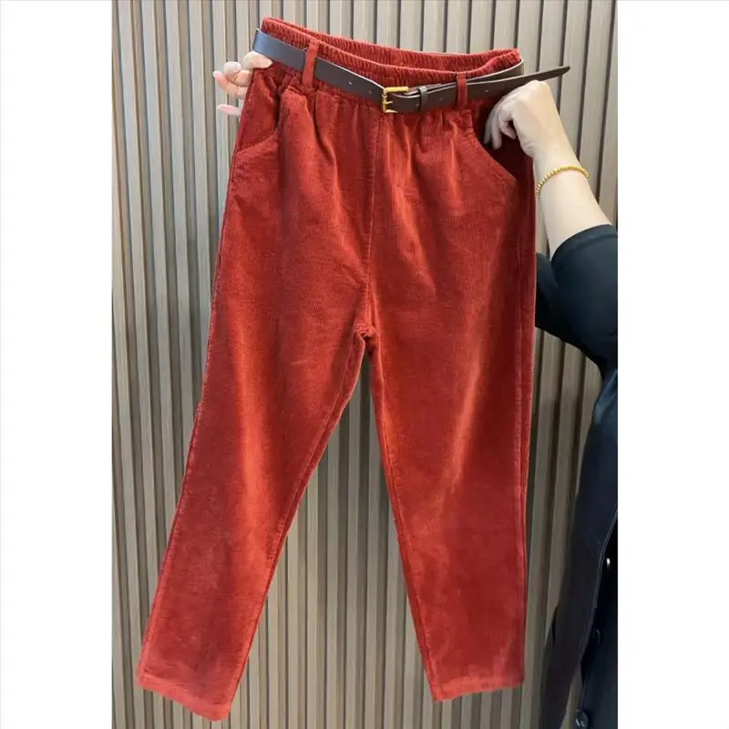 Velvet Harem Pants Women Fashion Casual Corduroy Trouser Spring Autumn Elastic Waist Loose Radish Pant Versatile 4XL
