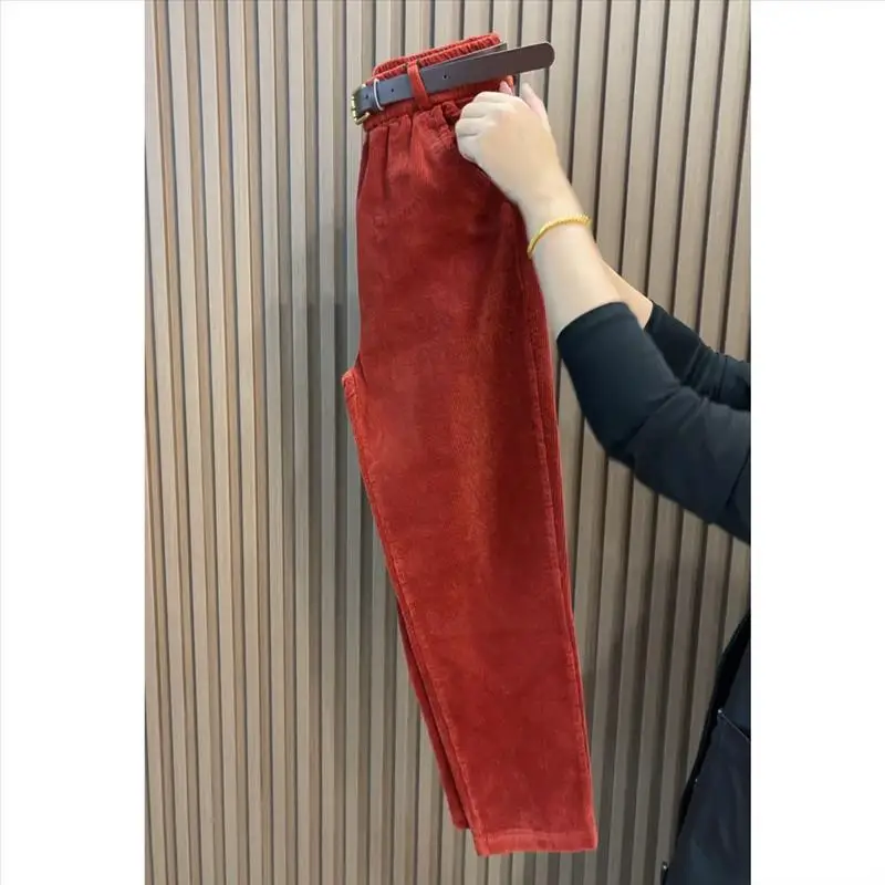 Velvet Harem Pants Women Fashion Casual Corduroy Trouser Spring Autumn Elastic Waist Loose Radish Pant Versatile 4XL