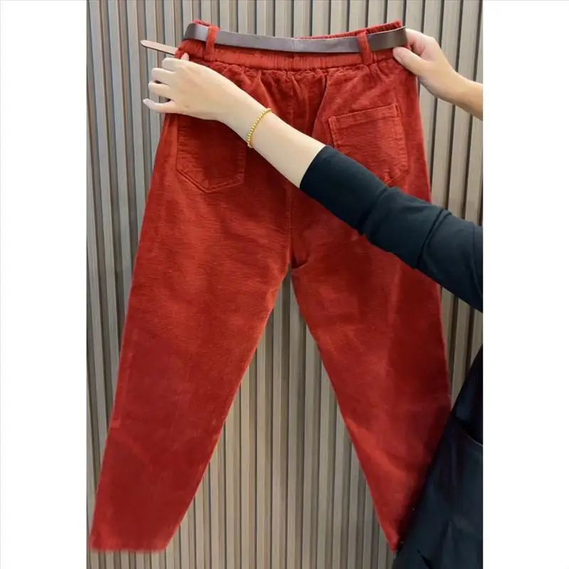 Velvet Harem Pants Women Fashion Casual Corduroy Trouser Spring Autumn Elastic Waist Loose Radish Pant Versatile 4XL
