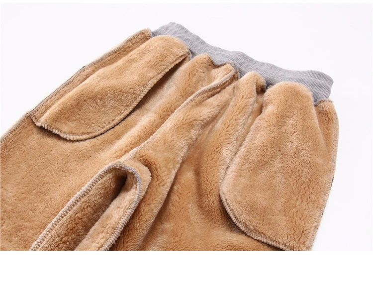 Cotton Women's Velvet Pants 2020 Fashion Autumn Winter Warm Women's Trousers Casual Lamb Fur Harem Pants Eembroidery Sweatpants