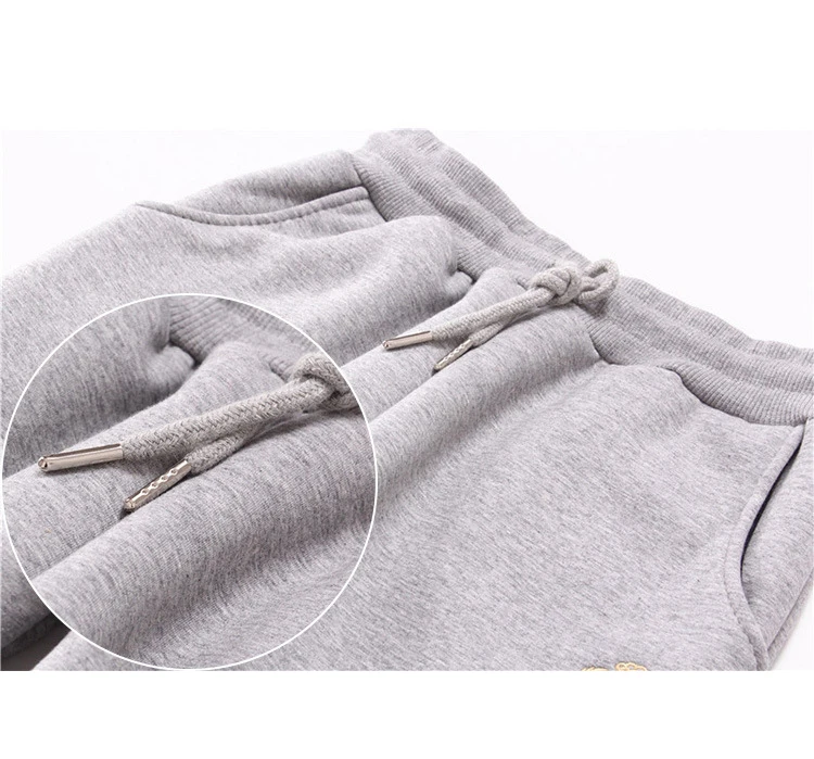 Cotton Women's Velvet Pants 2020 Fashion Autumn Winter Warm Women's Trousers Casual Lamb Fur Harem Pants Eembroidery Sweatpants