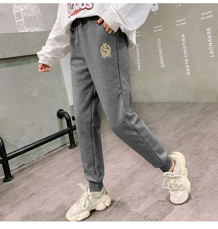 Cotton Women's Velvet Pants 2020 Fashion Autumn Winter Warm Women's Trousers Casual Lamb Fur Harem Pants Eembroidery Sweatpants
