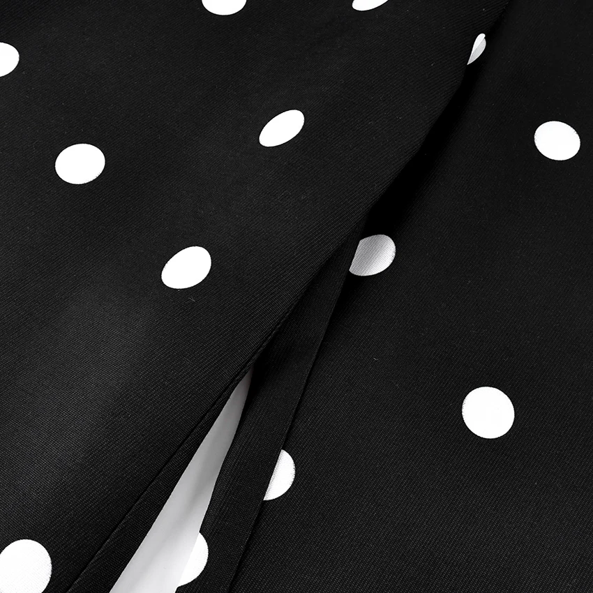 Linad Casual Polka Dot Loose Long Pants Women 2026 Street Chic High Waist Zipper Wide Leg Pants Spring Vintage Trousers Female