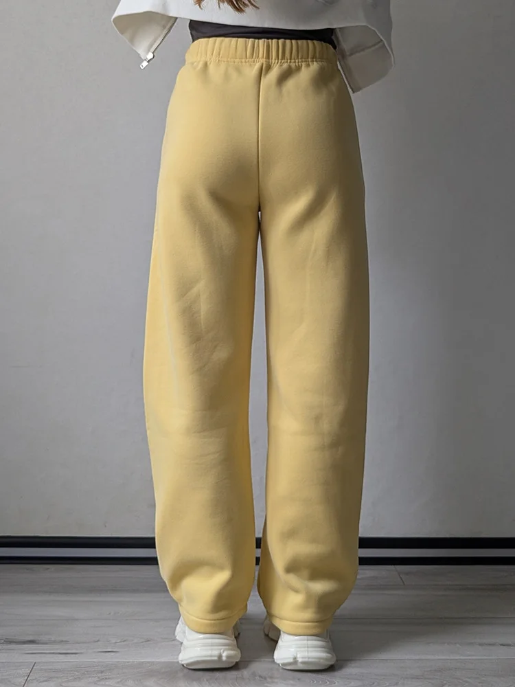 Streamgirl Warm Pants For Women Winter Brown Wide Leg Fleece Sweatpants Women Baggy Sport Winter Thick Velvet Warm Trousers