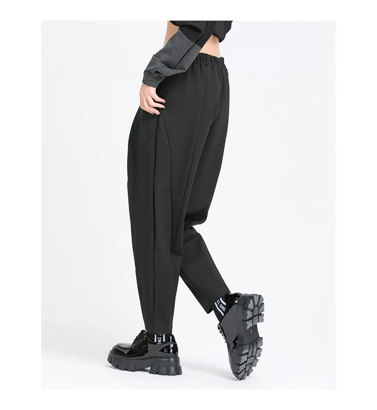 Pleated Loose Harem Pants Women New 2025 Autumn spring  Elastic Waist Black Pocket Fashion All Match Casual womenTrousers