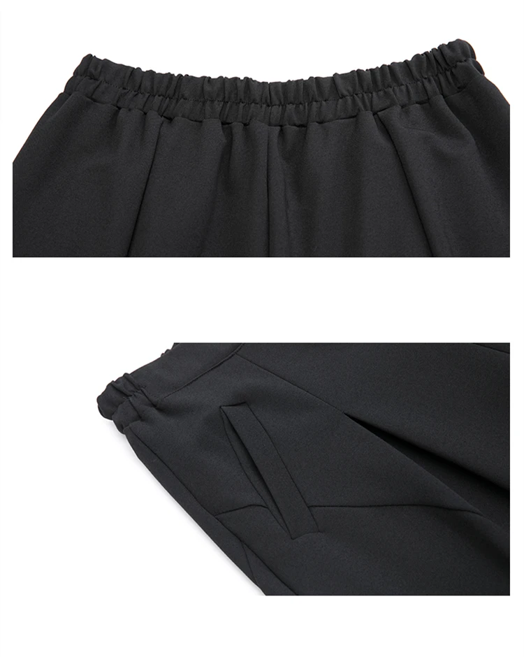 Pleated Loose Harem Pants Women New 2025 Autumn spring  Elastic Waist Black Pocket Fashion All Match Casual womenTrousers