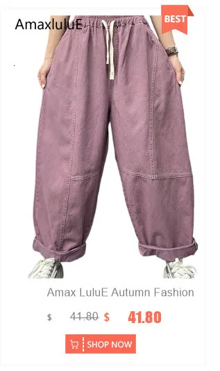 Amax LuluE Autumn Korean Women Loose Luxury Vintage Trousers 2025 Fashion Ladies Classic Leisure Solid Elastic Waist Harem Pants