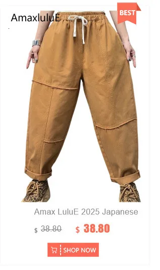 Amax LuluE Autumn Korean Women Loose Luxury Vintage Trousers 2025 Fashion Ladies Classic Leisure Solid Elastic Waist Harem Pants