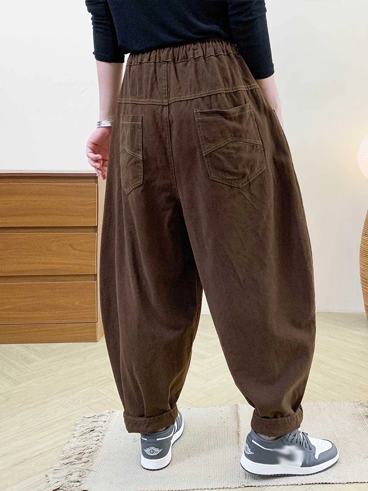 Amax LuluE Autumn Korean Women Loose Luxury Vintage Trousers 2025 Fashion Ladies Classic Leisure Solid Elastic Waist Harem Pants