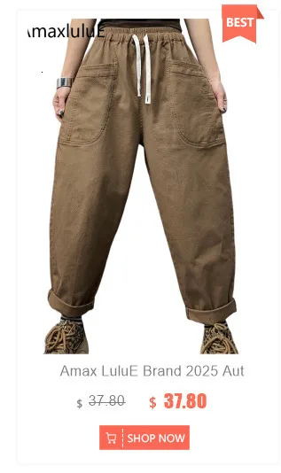Amax LuluE Autumn Korean Women Loose Luxury Vintage Trousers 2025 Fashion Ladies Classic Leisure Solid Elastic Waist Harem Pants