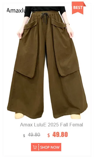 Amax LuluE Autumn Korean Women Loose Luxury Vintage Trousers 2025 Fashion Ladies Classic Leisure Solid Elastic Waist Harem Pants