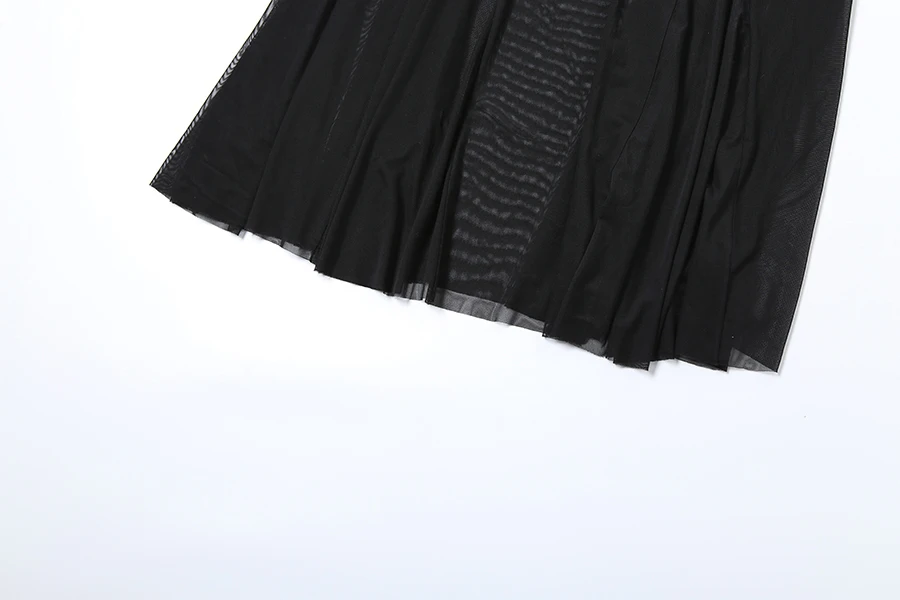 Sylcue 2024 Spring New Black Mysterious Sexy Hot All-match Trendy Personalized Women's Perspective Thin Skirt