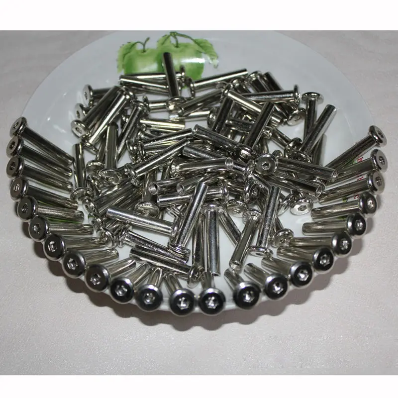 10Pcs Skates Screws Roller Skates Parts Axle Male & Female Screws for Child Kid Adult Free Skating Inline Skates Wheel Silver