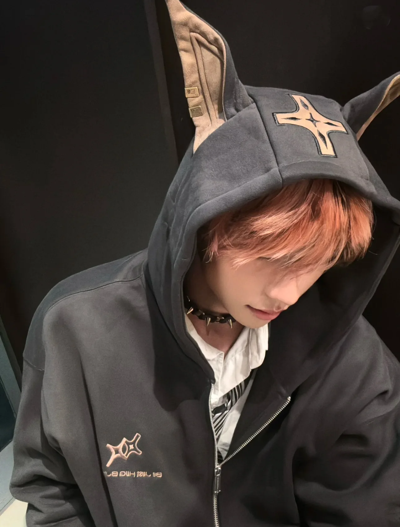 American-Doberman-Hoodie-Men's-Trendy-Street-Hiphop-Coat-Autumn-Rascal-Handsome-Zipper-Cardigan-Loose-Hip-Hop-Unisex-Coat