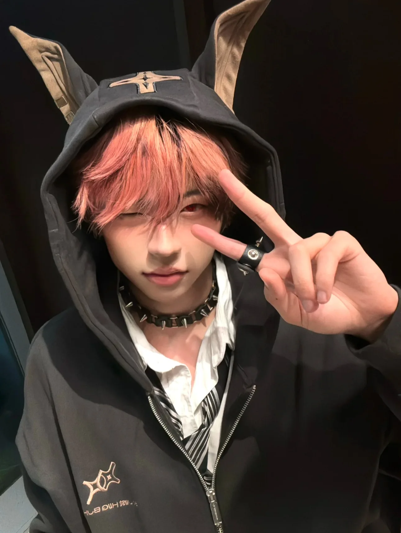 American-Doberman-Hoodie-Men's-Trendy-Street-Hiphop-Coat-Autumn-Rascal-Handsome-Zipper-Cardigan-Loose-Hip-Hop-Unisex-Coat