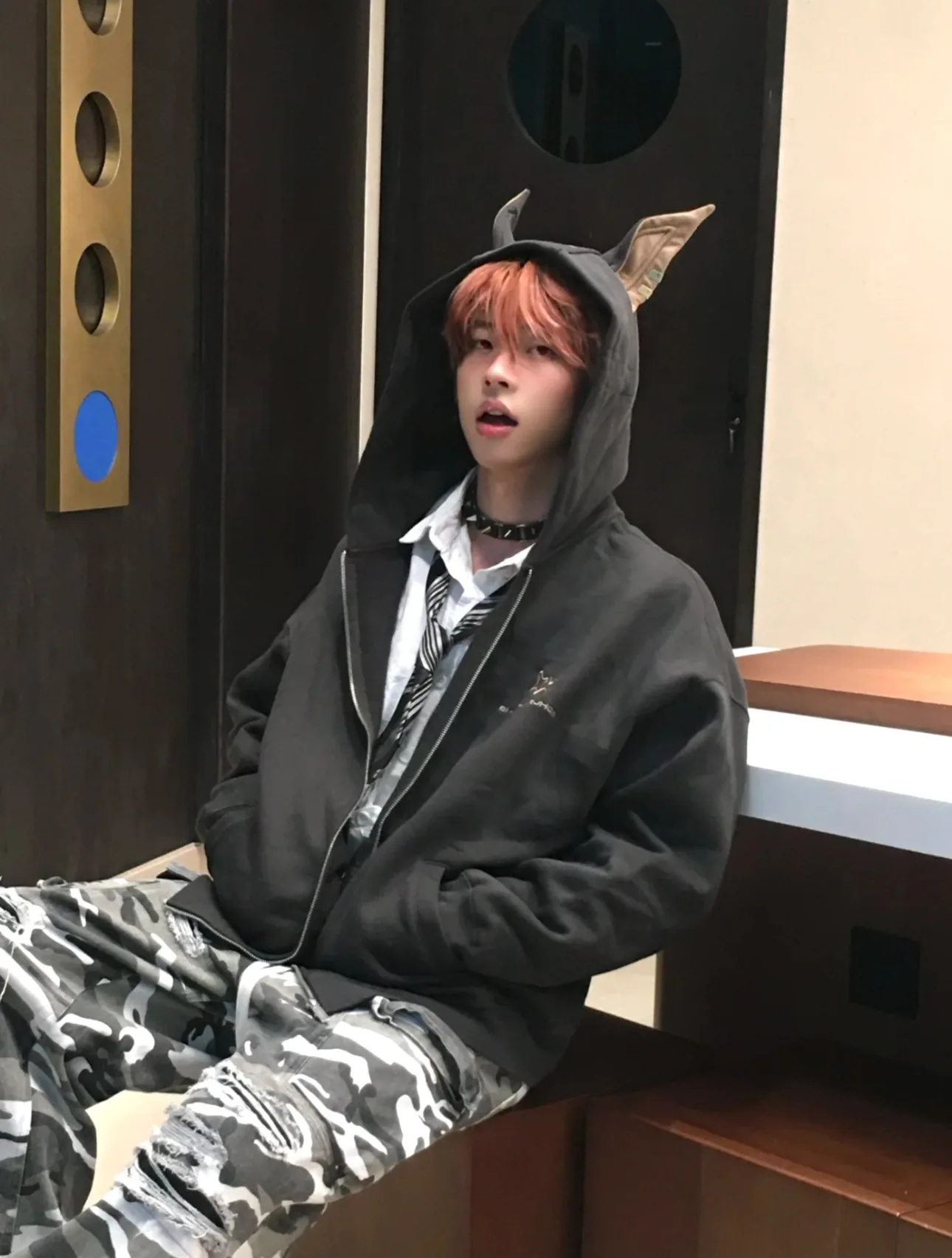 American-Doberman-Hoodie-Men's-Trendy-Street-Hiphop-Coat-Autumn-Rascal-Handsome-Zipper-Cardigan-Loose-Hip-Hop-Unisex-Coat