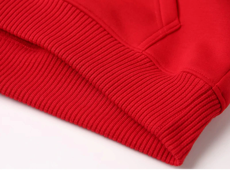 GAAJ Hoodie Premium 100% Cotton 450g Heavyweight Warm Thick Fleece Winter Solid Coat Casual Hood Sweatshirt Men Women Clothes