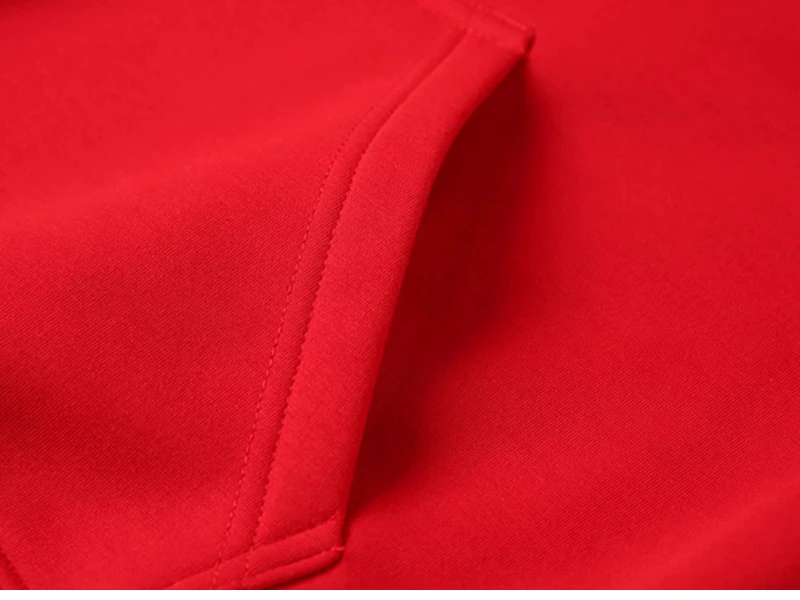 GAAJ Hoodie Premium 100% Cotton 450g Heavyweight Warm Thick Fleece Winter Solid Coat Casual Hood Sweatshirt Men Women Clothes