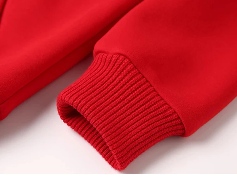 GAAJ Hoodie Premium 100% Cotton 450g Heavyweight Warm Thick Fleece Winter Solid Coat Casual Hood Sweatshirt Men Women Clothes