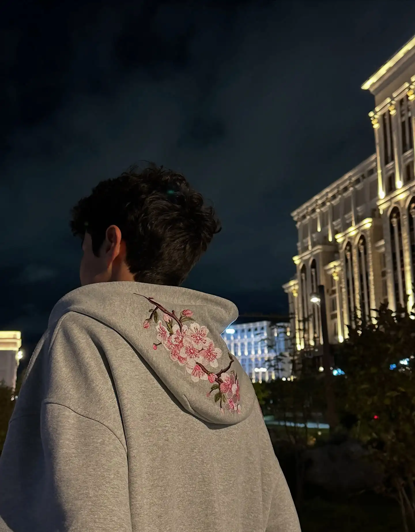 Y2K Vintage Cherry Blossom Embroidery Zipper Hoodie Harajuku Loose Reversible Simple Grid Jacket Men Women Pink Coat Streetwear