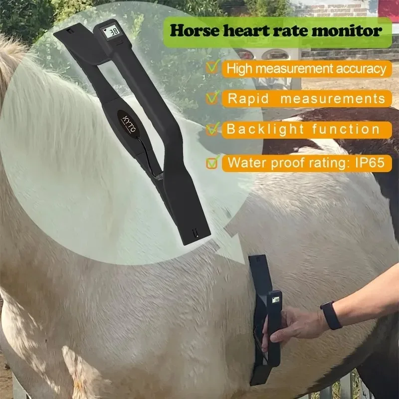 Horse Heart Rate Sensor Monitor Rapid measurement with Backlight LCD Water Proof High accuracy KYTO2596