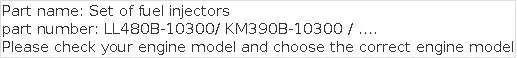 LL480B-10300 / KM390B-10300 Set of Fuel Injectors for Laidong KM385BT / LL380B / LL480B / LL380BD / LL385BT