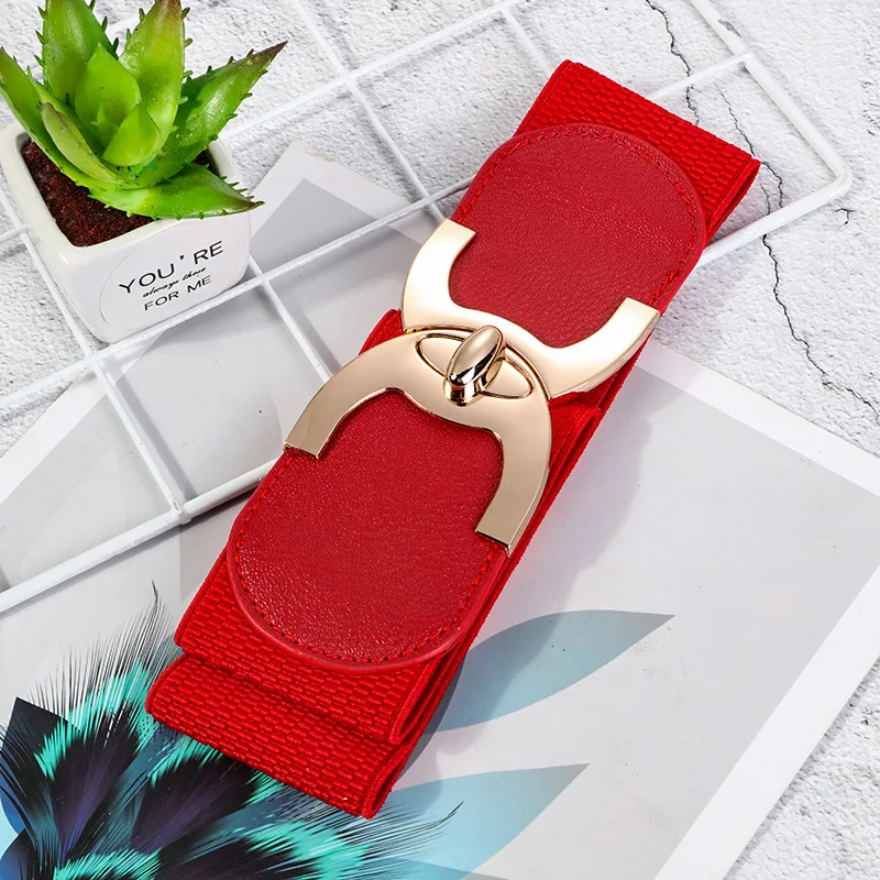 Wide Elastic Belts for Women Stretch Ladies Waist Belt with Fashion Gold Buckle, Vintage Classic Plus Size Belts for Women