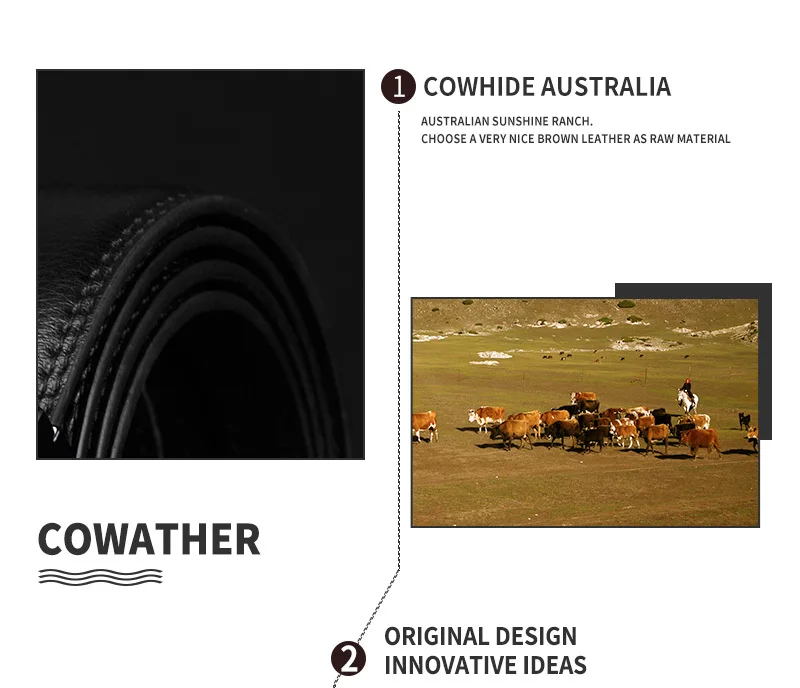 COWATHER Men's Automatic Buckle belt with Cow Genuine Leather BLACK BROWN Belts for Men brand Wide 3.5 cm CZ058