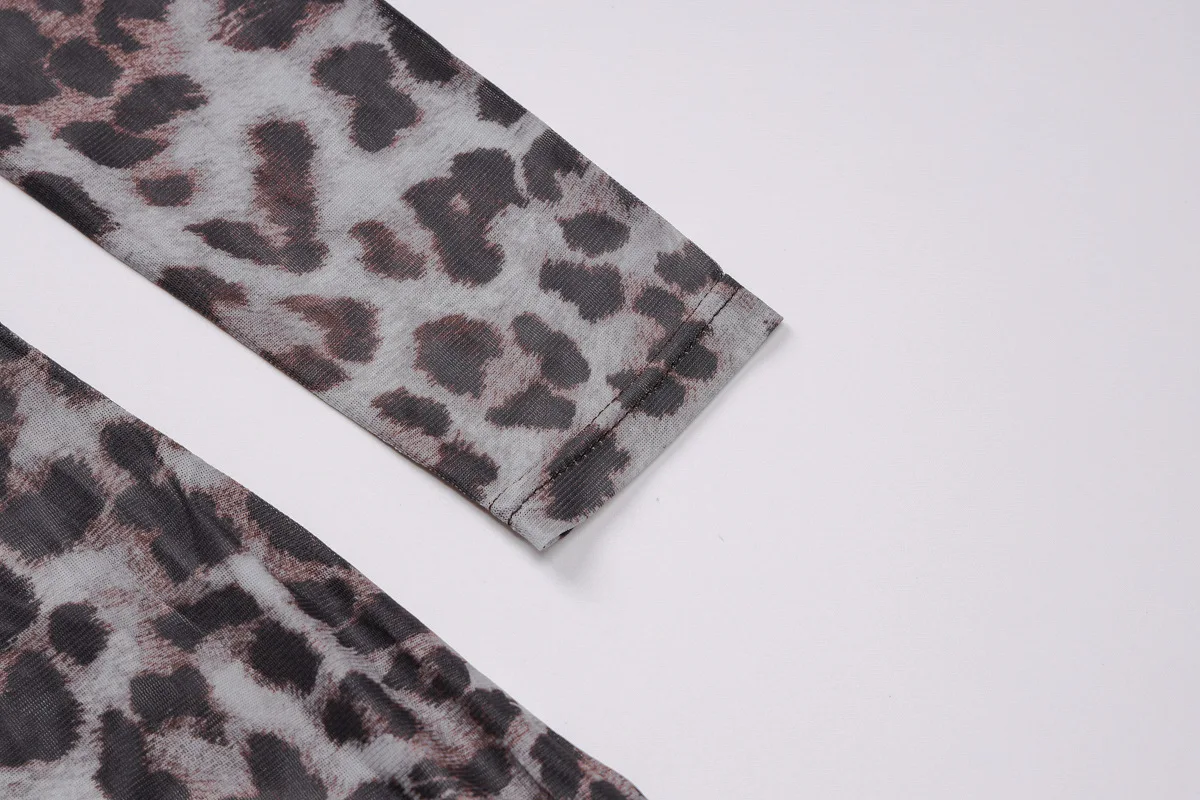 Shestyle Leopard Sexy A-Line Dress Women Two Piece Sets Mesh See Through Fashion Extremely Hot High Street Animal Print Stylish