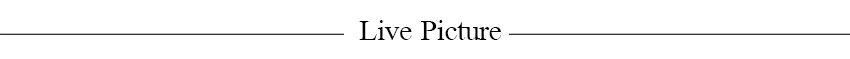 Elegant Velvet Mermaid Dress Lace Patchwork Cuff Women High Waist Long Dress Party Club Black Evening Gown 2026 Lady Chic Robe