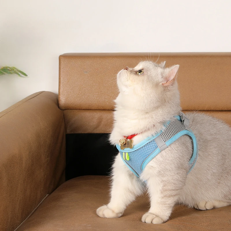 Adjustable Puppy Cat Harness Vest Dog Harness Leash Set for Small Dogs French Bulldog Chihuahua Pug Outdoor Walking Lead Leash
