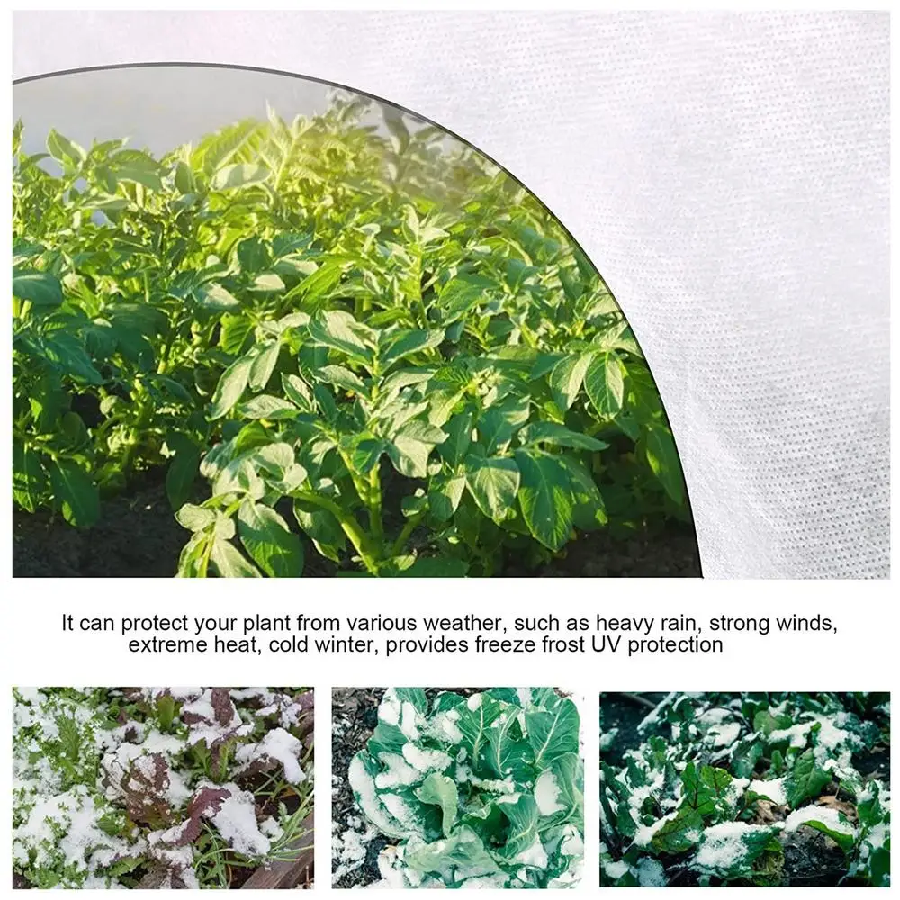 Greenhouse Hoops Garden Plant Hoop Grow Tunnel Support Hoops Plant Holder Tools with PE Cover Greenhouse Hoops Plant Grow Tunnel
