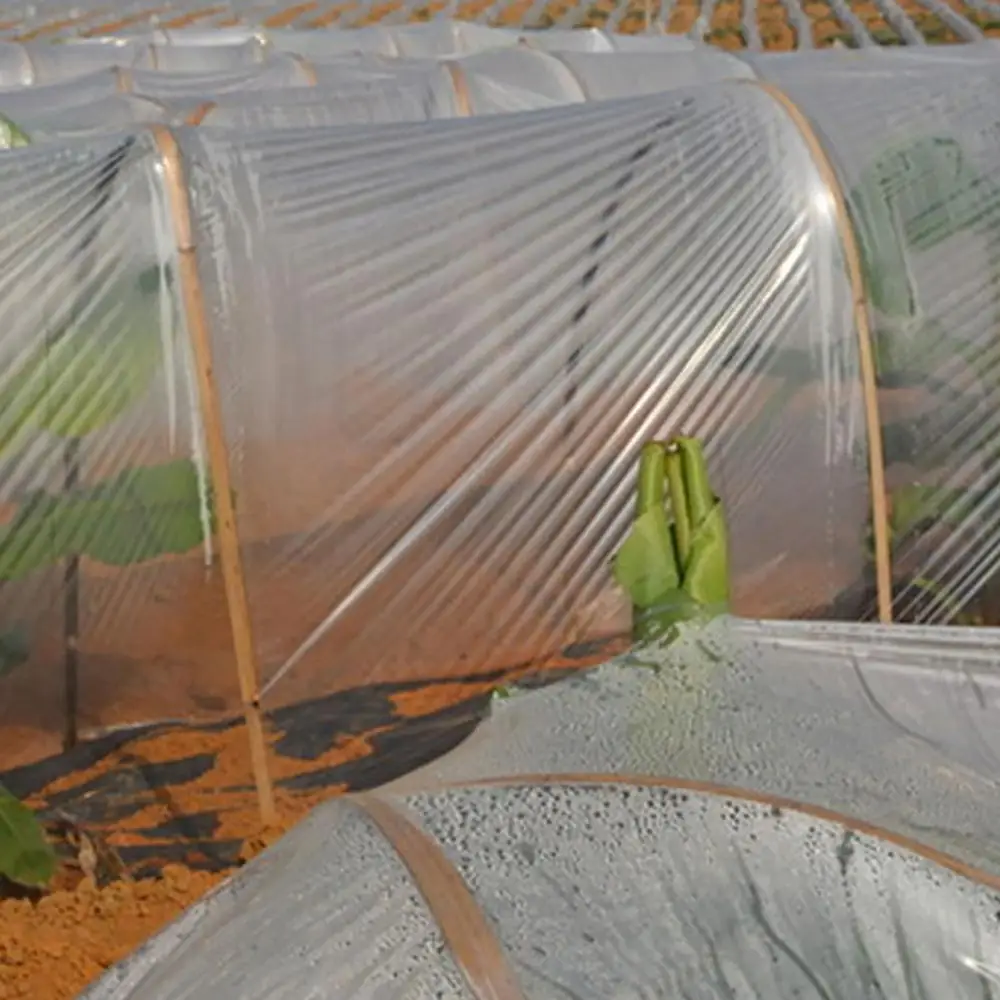 Greenhouse Hoops Garden Plant Hoop Grow Tunnel Support Hoops Plant Holder Tools with PE Cover Greenhouse Hoops Plant Grow Tunnel
