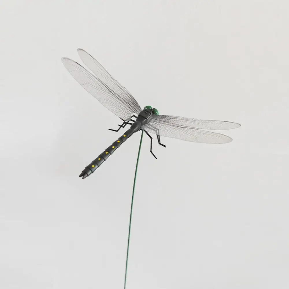 Kids Dragonfly Toys Large Animal Models For Children Creative Educational Models Dragonfly Toys For Enlightenment Education