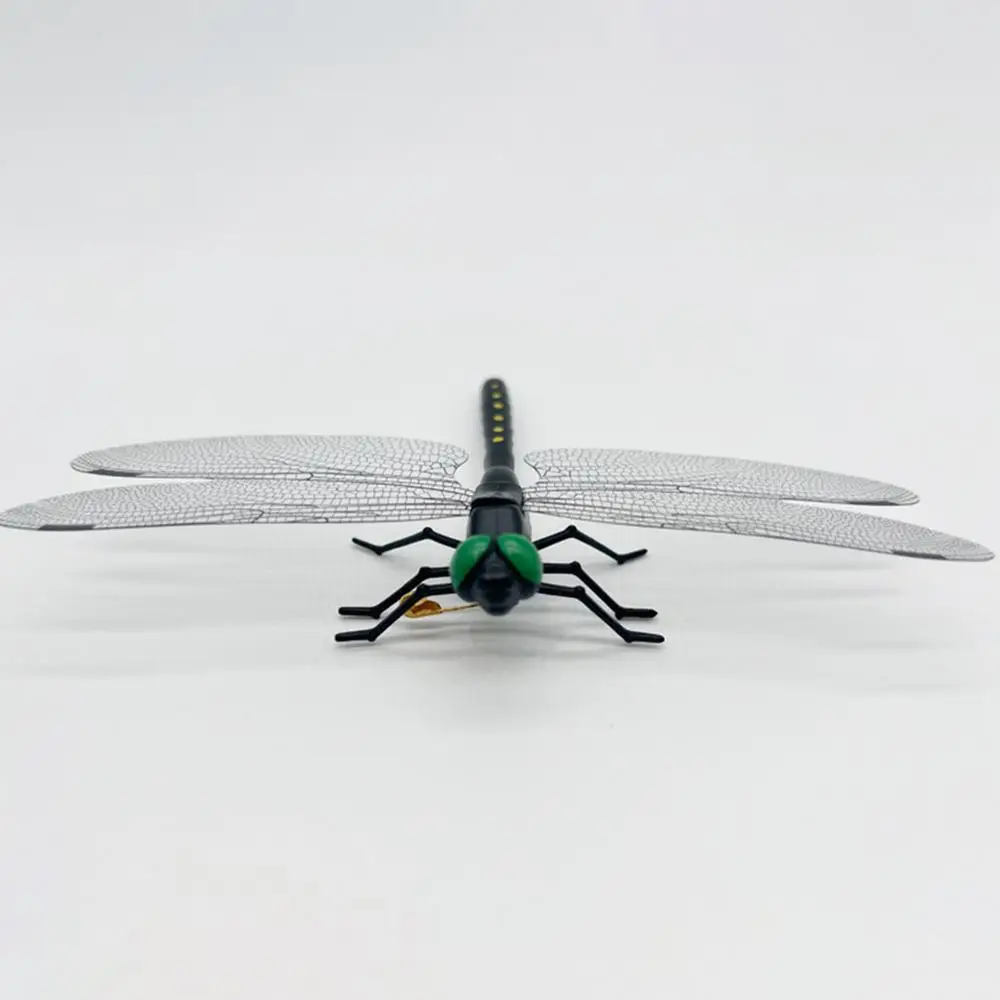 Kids Dragonfly Toys Large Animal Models For Children Creative Educational Models Dragonfly Toys For Enlightenment Education