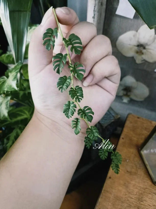 Handmade Clay Vine Plants Collection: Wisteria, Ivy & Rose Vine Miniatures with Lotus & Chrysanthemum for 1:6 Dollhouse Garden