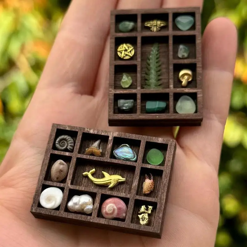 Wooden Mini Jewelry Holder Miniature Crystal Ore Specimen Storage Jewelry Display Tray Multi Compartments Dollhouse Shelf