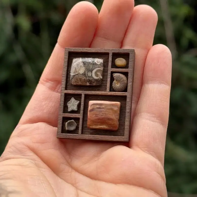 Wooden Mini Jewelry Holder Miniature Crystal Ore Specimen Storage Jewelry Display Tray Multi Compartments Dollhouse Shelf